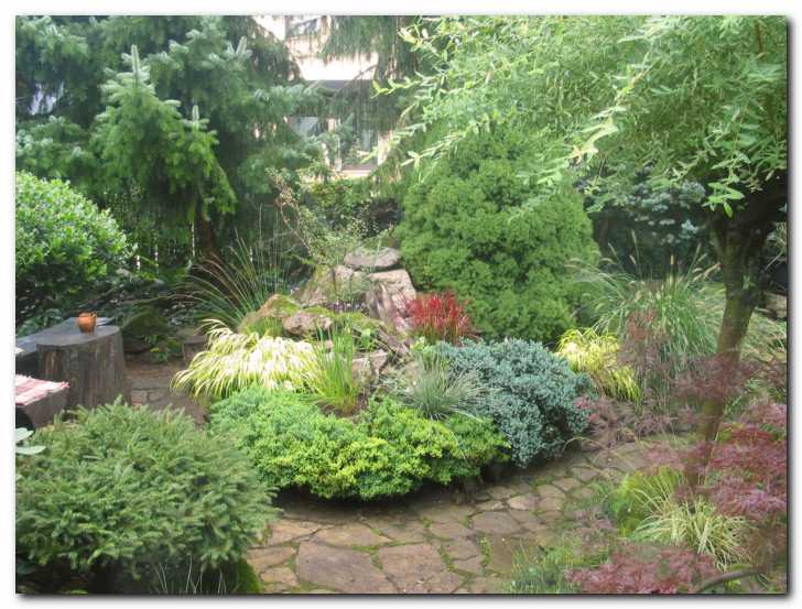 Pester izbor barv<br> in tekstur - brez cvetja