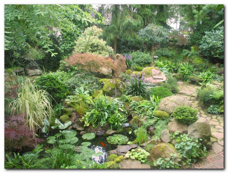 Okrasni vrt sredi poletja