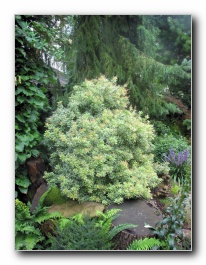 Kliknite za pove�avo slike