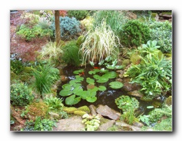 Kliknite za pove�avo slike