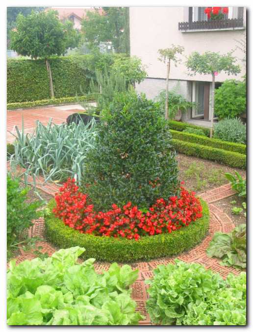 Oto�ek sredi zelenjavnega vrta