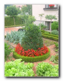 Kliknite za pove�avo slike