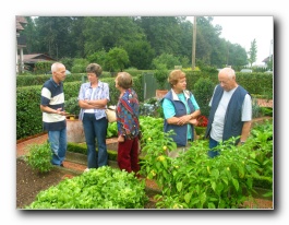 Kliknite za pove�avo slike