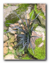 Kliknite za pove�avo slike