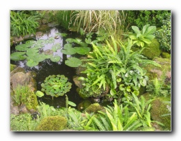 Kliknite za pove�avo slike