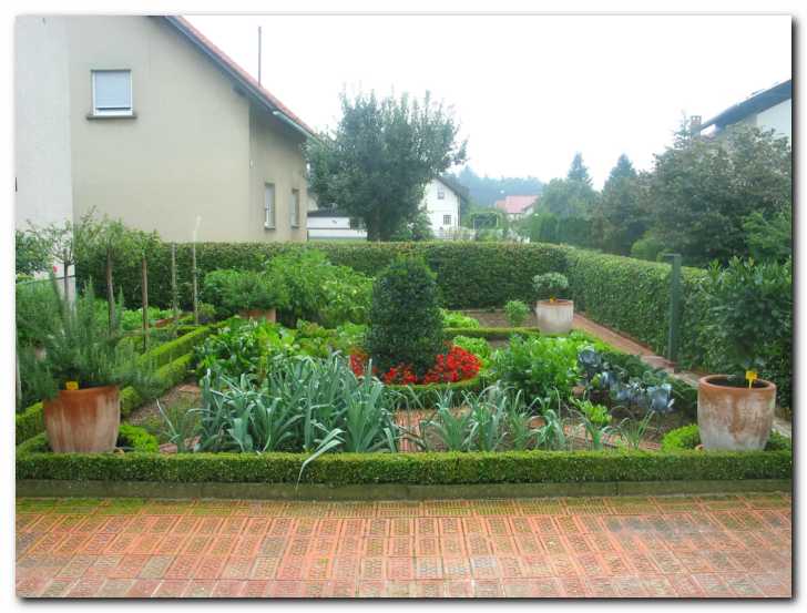 Zelenjavni vrt sredi poletja