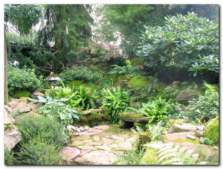 Koti�ek z japonskim pridihom