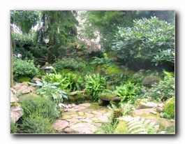 Kliknite za pove�avo slike