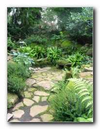 Kliknite za pove�avo slike