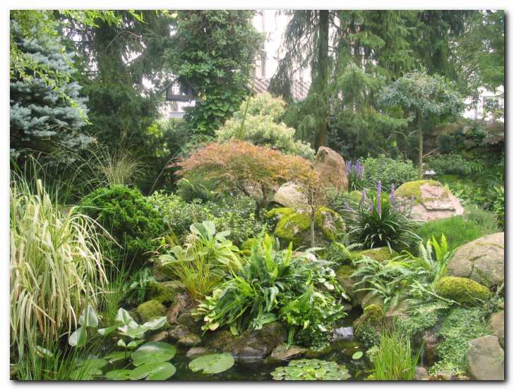 Ribnik z bujno vegetacijo