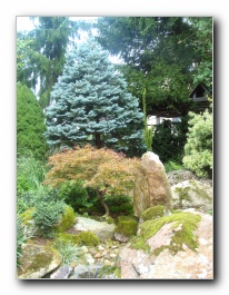 Kliknite za pove�avo slike