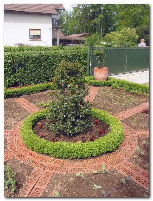 Na sredini je ilex,<br> obrobljen s pu�panom