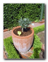 Kliknite za pove�avo slike