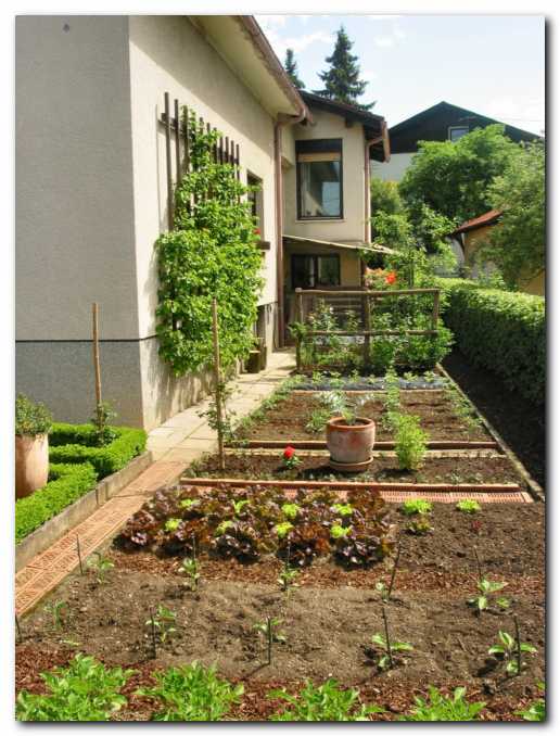 Ju�ni del zelenjavnega vrta