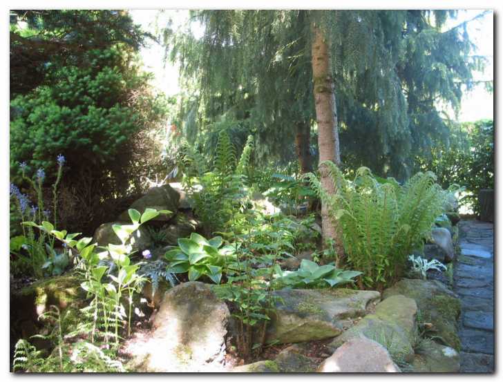 Praproti,  salomonov pe�at,<br> hoste in mahovi