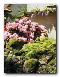 Kliknite za pove�avo slike