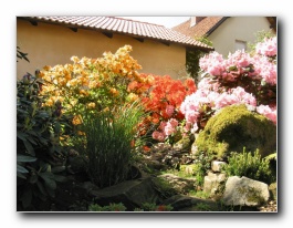 Kliknite za pove�avo slike