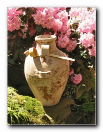 Kliknite za pove�avo slike