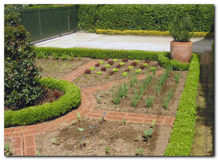 Spredaj zelje, v sredini<br> �alotka, zadaj solata