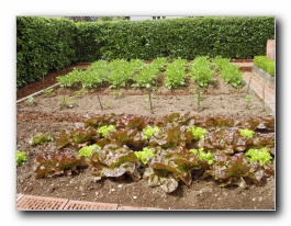 Kliknite za pove�avo slike