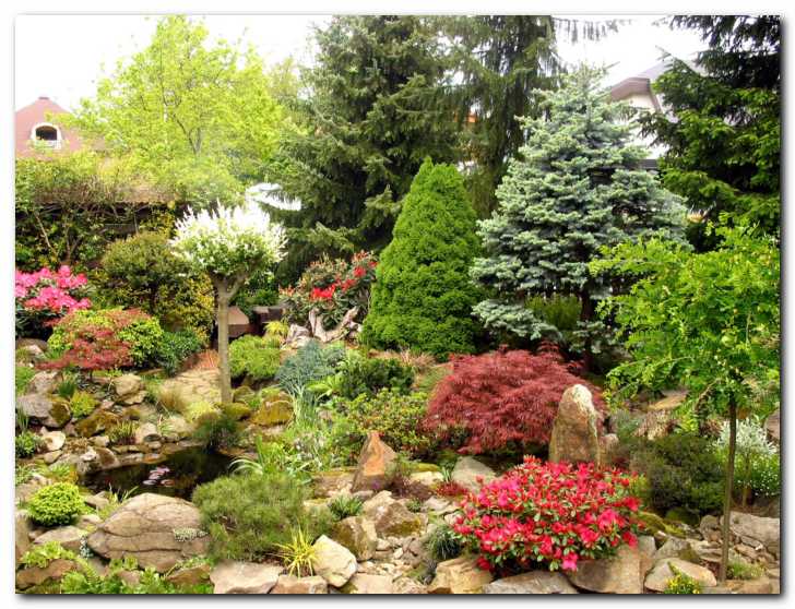 Cveto�a azaleja v dru�bi<br> barvitega grmi�evja