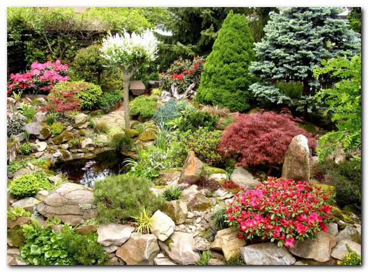 Bogata zasaditev v sredini<br> japonskega vrta