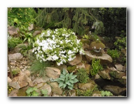 Kliknite za pove�avo slike