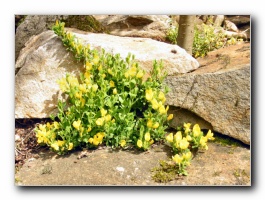 Kliknite za pove�avo slike