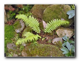 Kliknite za pove�avo slike