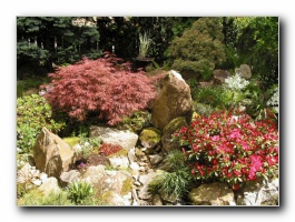 Kliknite za pove�avo slike