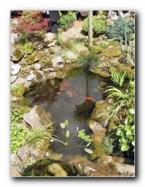 Kliknite za pove�avo slike