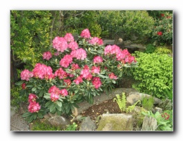 Kliknite za pove�avo slike