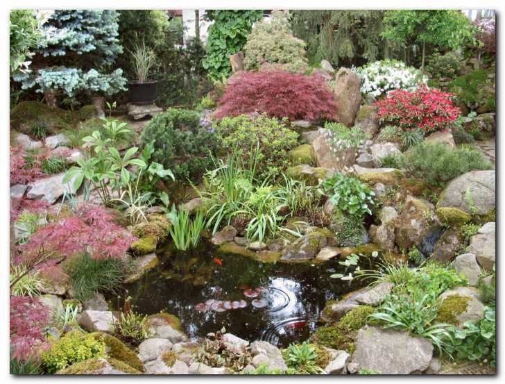 Ribnik v objemu skal in grmi�kov