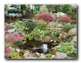 Kliknite za pove�avo slike