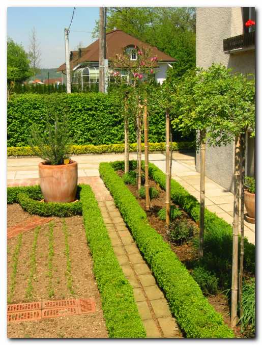 Med zeli��i rastejo<br> stebelne vrtnice