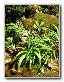 Kliknite za pove�avo slike