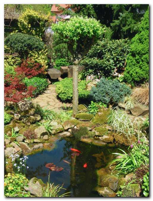 Ribnik zgodaj spomladi 