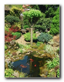 Kliknite za pove�avo slike