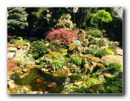 Kliknite za pove�avo slike