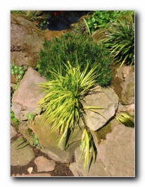 Kliknite za pove�avo slike