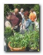 Kliknite za pove�avo slike