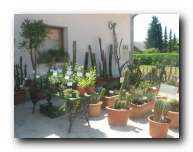 Kliknite za pove�avo slike