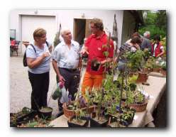 Kliknite za pove�avo slike