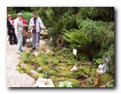 Kliknite za pove�avo slike