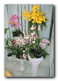 Kliknite za pove�avo slike