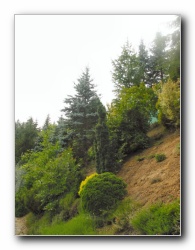 Kliknite za pove�avo slike