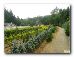 Kliknite za pove�avo slike