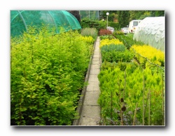 Kliknite za pove�avo slike