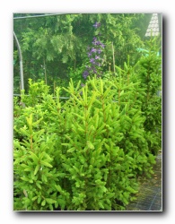 Kliknite za pove�avo slike