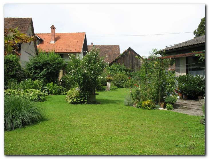 Poletni motiv s hibiskusom